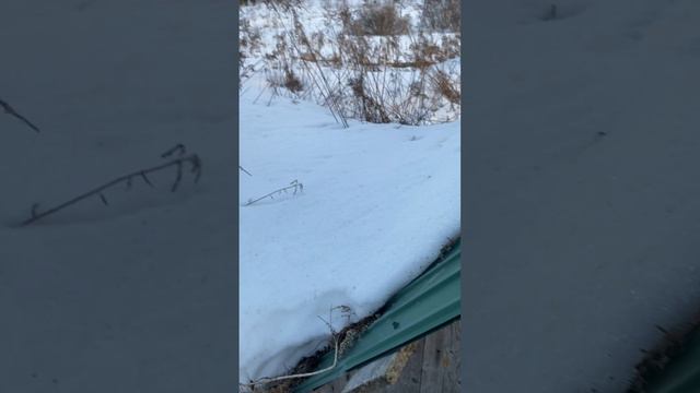Первый пробный поход богатырей #ИльяМуромец #поход
