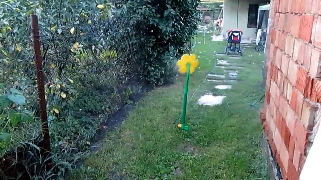 БЕШЕНАЯ ПОЛИВАЛКА РОМАШКА !!!!! смотреть онлайн