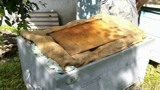 Откачка меда ☆ Отбор и установка откачанных рамок [1 ч.] смотреть онлайн