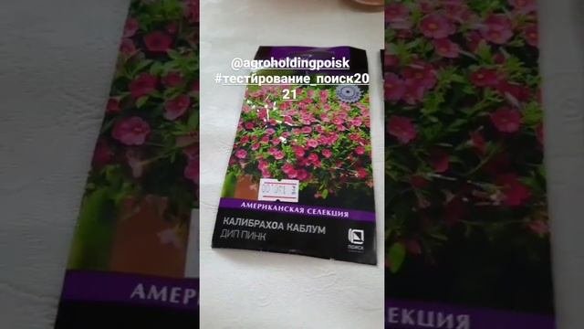 Купила шикарные,лёгкие  почвобрикеты и саженцы с семенами калибрахоа,петуний и томатов