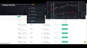 Бизнес с нуля. Как открыть свой обменник на p two p (p2p) ?