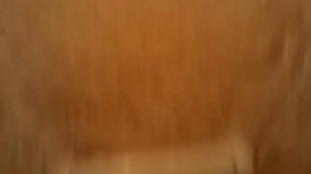 Весь дом без туалета смотреть онлайн