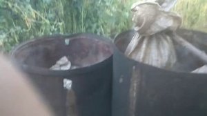 Варим-перемалываем солому Грибы вешенка из своего мицелия