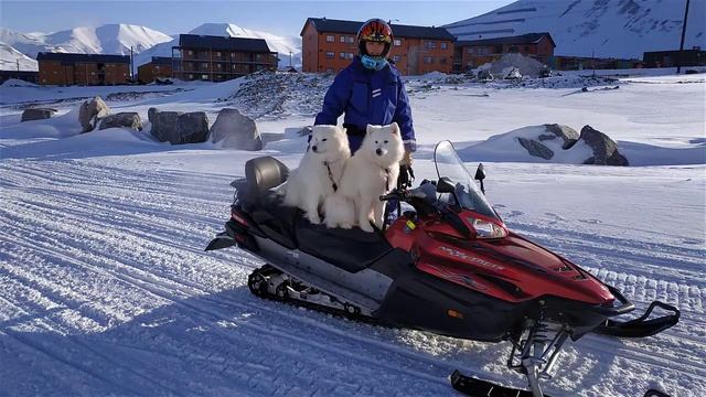 «Из дальних странствий возвратясь. Арктика. Шпицберген» смотреть онлайн