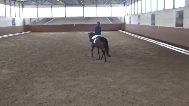 Стефания Харьковская и Гранд Майер. Тест для Начинающих. 1 место. 66,053% смотреть онлайн