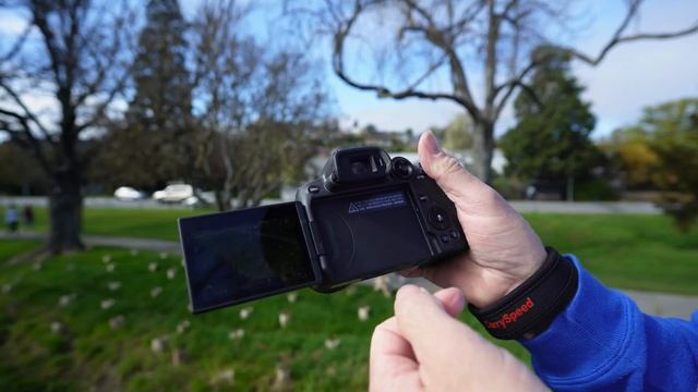 Canon R7 with 18-150mm kit lens review смотреть онлайн