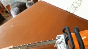 STIHL учимся пилить !)