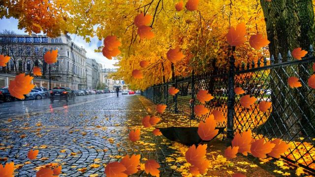 СВИДАНИЕ ПОД ДОЖДЕМ смотреть онлайн