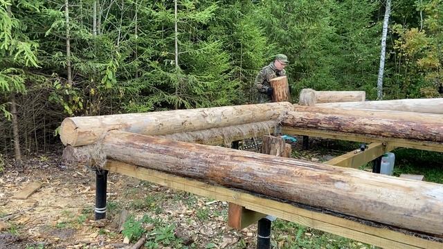 Охота на рябчика - Грибы - Конопатка - Баня своими руками#9 - Building a sauna alone смотреть онлайн