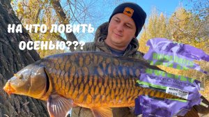 НА ЧТО ЛОВИТЬ ОСЕНЬЮ?? ЛОВИМ НА ДИКАРЕ ХОЛОДНОЙ ОСЕНЬЮ..