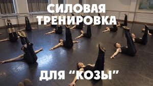 Силовая подготовка для козы.