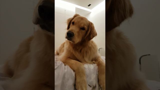 Head tilt game strong смотреть онлайн