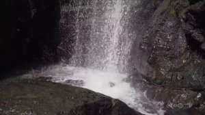 Живая вода. Красивая природа под приятную музыку.