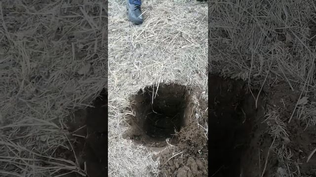 xp orx, Qwest40, Xp gimaxx2 смотреть онлайн