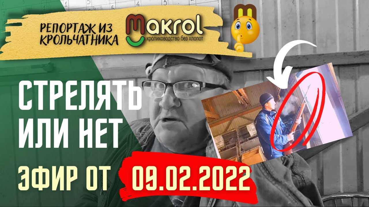 ✅Стрельба в крольчатнике, крольчиха закопала крольчат и прочие радости среды #Макляк #Макрол.mp4