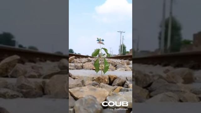 Поезд