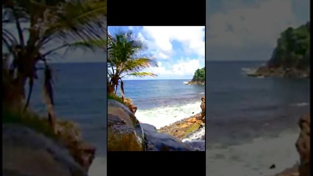 Морской прибой у леса. Пение птиц, шум волн