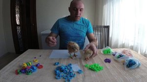 Кольцевание гусей,кур,цыплят//Размеры колец с AliExpress