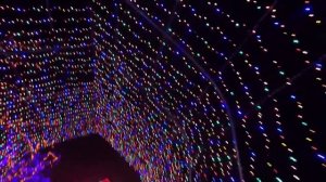 Lights Show at Shady Brook Farm