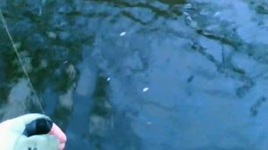 Ловля щуки на самодельный уокер