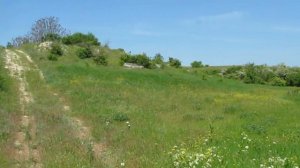 Бургунская балка (часть третья). Херсонская область, Бериславский район.
