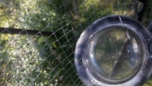 Самодельная перощипальная машина из стиральной машины.