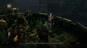 Солер из Асторы Dark Souls — все диалоги на русском языке