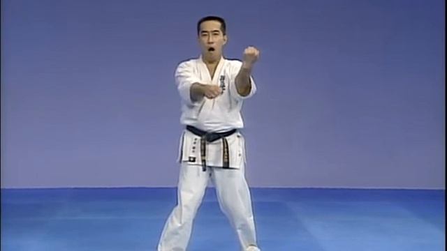 Kyokushin Old All in 1 Kata смотреть онлайн