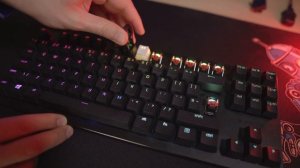 HyperX Double Shot PBT Keycaps Обор и Замена Оригинальных Клавиш