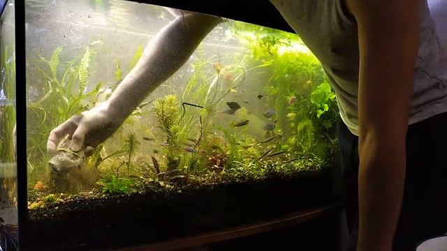 Редизайн аквариума, 6 часов за 6 минут смотреть онлайн