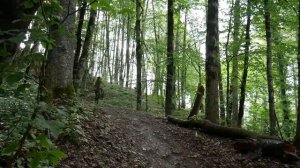 Красная Поляна #1 — взгляд изнутри