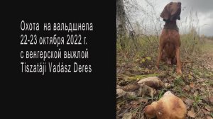 Вальдшнеп 22-23 2022