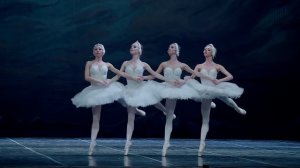 Pas de quatre from Swan Lake (Лебединое озеро - Танец маленьких лебедей 06.09)