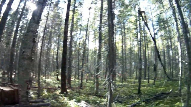 Открытие охоты на боровую. Подготовка к охоте на куницу. Охота на уток. смотреть онлайн