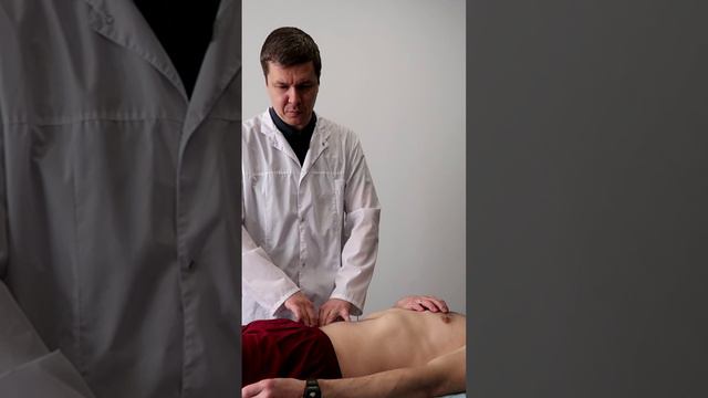 Грудные позвонки влияют на органы таза