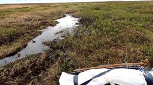 От Вижаса до Омы на квадроцикле по болоту НАО