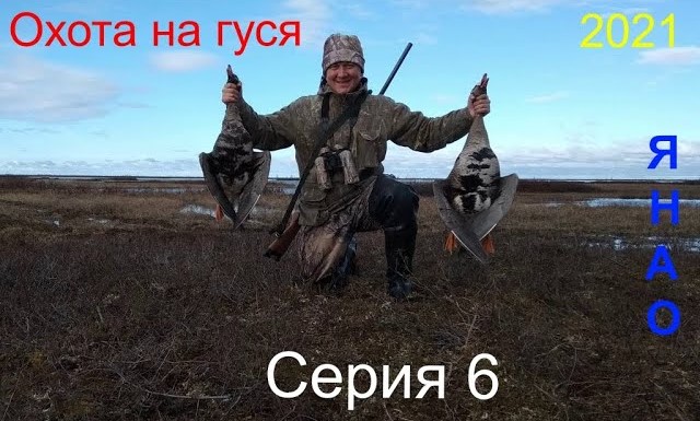 ОХОТА НА ГУСЕЙ 2021. Серия 6/Goose hunting 2021. Series 6 смотреть онлайн