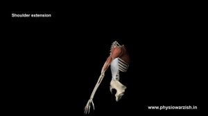 How to do a Latissimus dorsi stretch ?