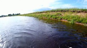 Рыбалка река Луга д.Орлы часть 2