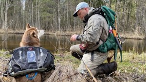 В поисках форели в глуши, маршрут более 20км.