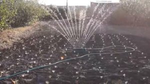 Дождеватель своими руками