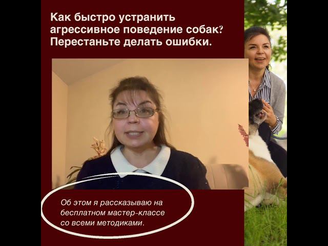 Как убрать агрессивное поведение у собаки. С Вами Кинолог Наталья Севостьянова,30 лет опыт офлайн