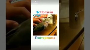 СРОЧНОЕ СООБЩЕНИЕ ДЛЯ ВСЕХ! ЭТО НАДО ВИДЕТЬ ВСЕМ! ПОКА НЕ УДАЛИЛИ!  ПОТРАТЬ ПАРУ МИНУТ ЧТО Б УСПЕТЬ