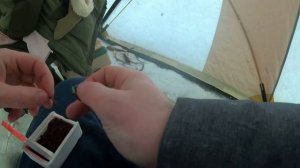 Хороший клев! рыбалка на Можайке в январе