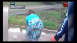 Домашний питбуль загрыз дворнягу.18+