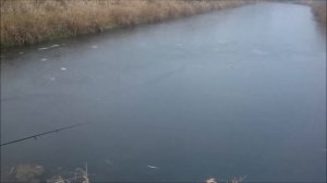 Сенеж. Река Сестра. Октябрь 2015