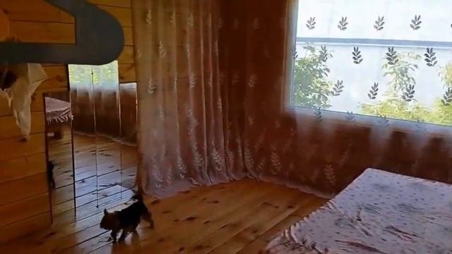 Гостевой Дом 