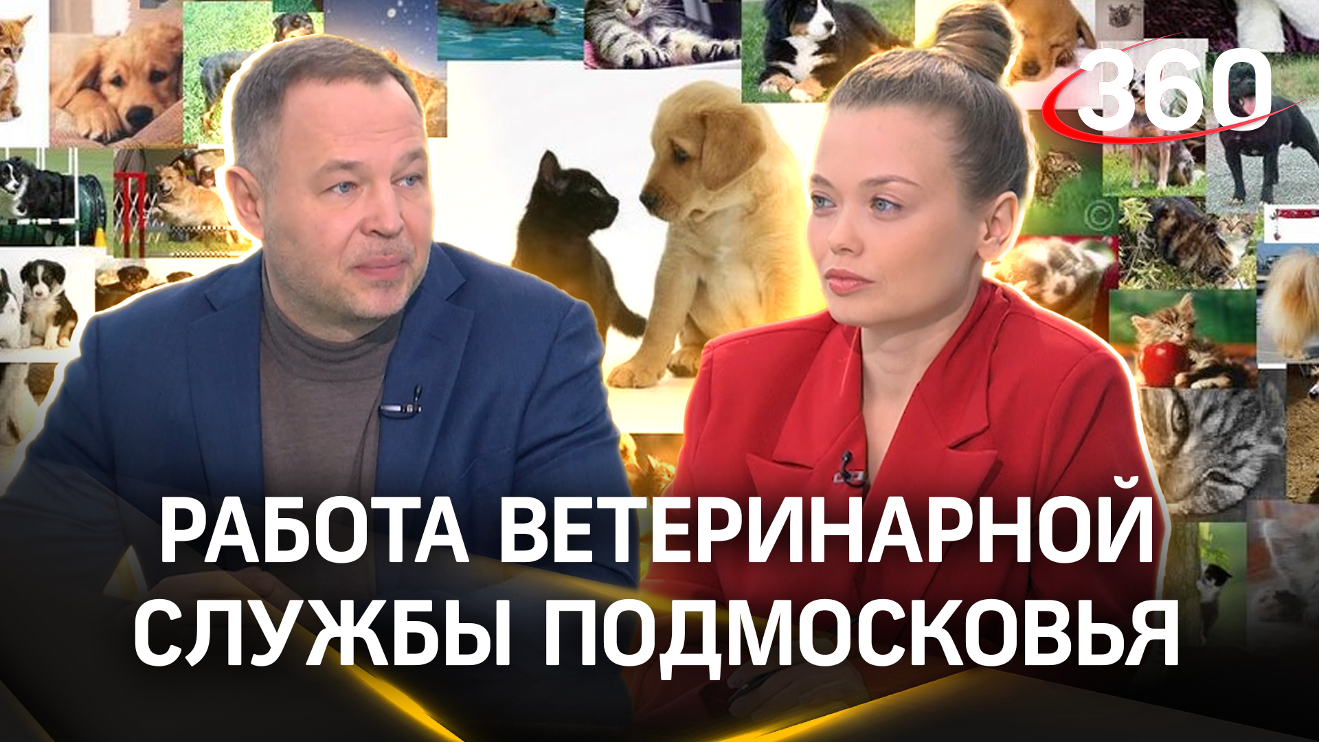 Государственная ветеринарная служба Подмосковья считается одной из самых эффективных в нашей стране