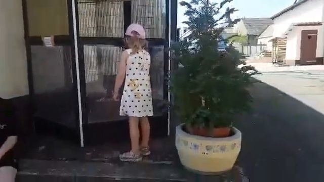 Шли по дороге и увидели клетку смотреть онлайн