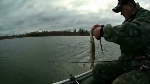 Мой первый МЕГАБАСС!!!
Рыбалка на воблеры.